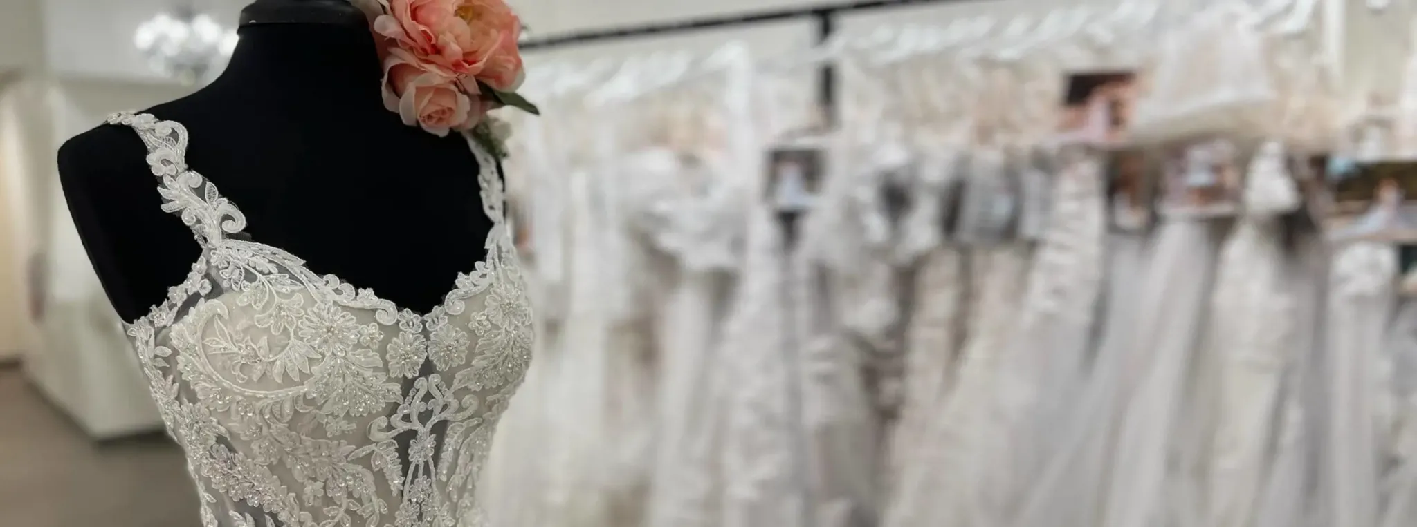 Background Image testing